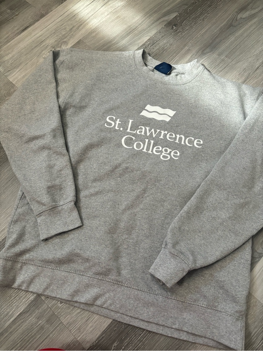Gray Crewneck Sweatshirt - Classic Campus Pullover